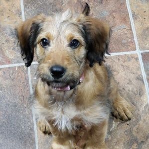 Meet your Posher, Stan